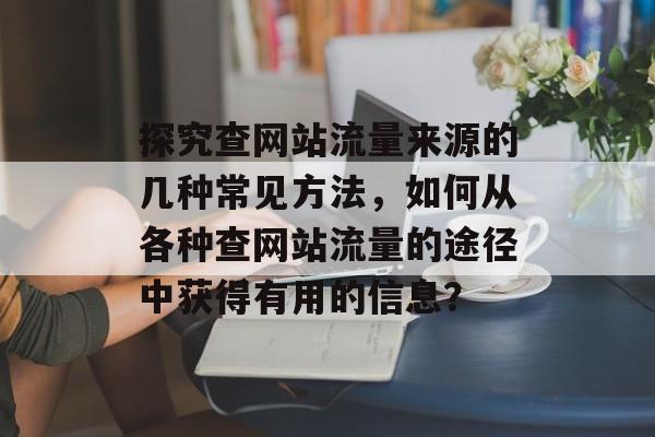 探究查网站流量来源的几种常见方法,如何从各种查网站流量的途径中获得有用的信息? 探究查网站流量来源的几种常见方法,如何从各种查网站流量的途径中获得有用的信息?