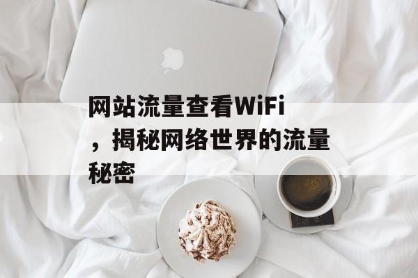 网站流量查看WiFi,揭秘网络世界的流量秘密 网站流量查看WiFi,揭秘网络世界的流量秘密