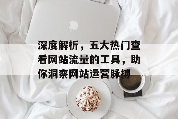 深度解析,五大热门查看网站流量的工具,助你洞察网站运营脉搏 深度解析,五大热门查看网站流量的工具,助你洞察网站运营脉搏