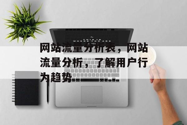 网站流量分析表，网站流量分析，了解用户行为趋势