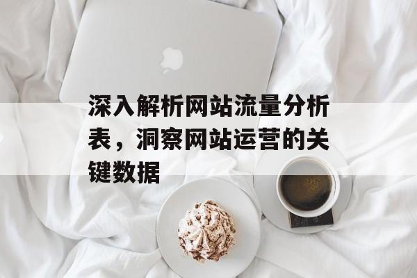 深入解析网站流量分析表,洞察网站运营的关键数据 深入解析网站流量分析表,洞察网站运营的关键数据