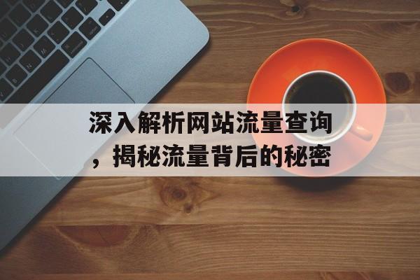 深入解析网站流量查询,揭秘流量背后的秘密 深入解析网站流量查询,揭秘流量背后的秘密