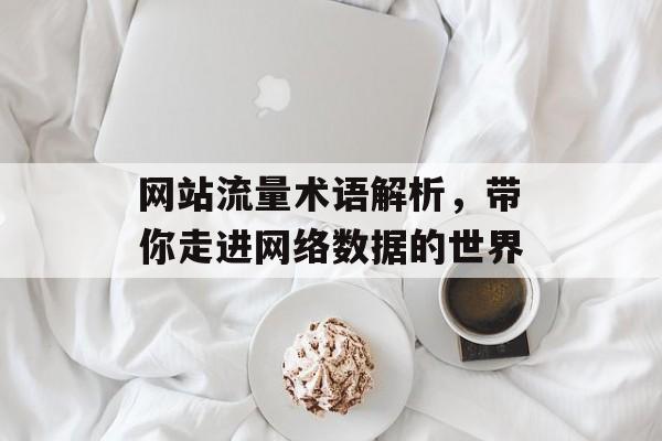 网站流量术语解析,带你走进网络数据的世界 网站流量术语解析,带你走进网络数据的世界