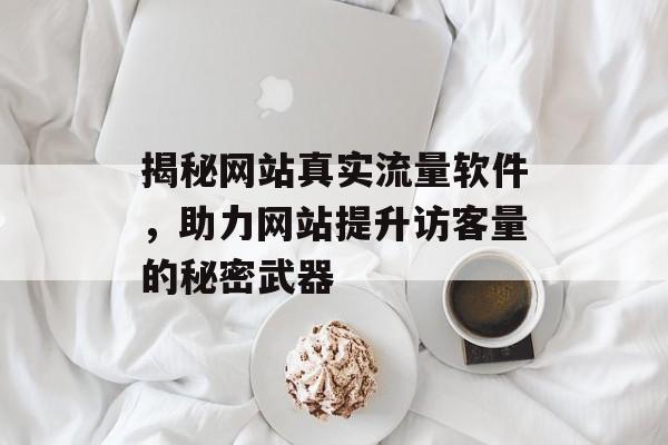 揭秘网站真实流量软件，助力网站提升访客量的秘密武器