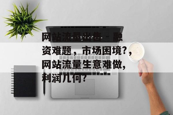 网站流量出售 - 融资难题，市场困境?，网站流量生意难做, 利润几何?