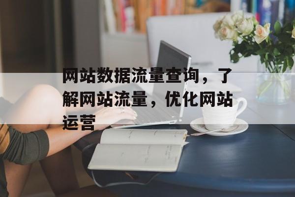 网站数据流量查询，了解网站流量，优化网站运营