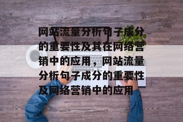 网站流量分析句子成分的重要性及其在网络营销中的应用，网站流量分析句子成分的重要性及网络营销中的应用