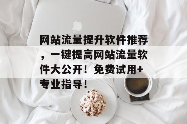 网站流量提升软件推荐，一键提高网站流量软件大公开！免费试用+专业指导！
