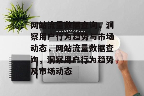 网站流量数据查询，洞察用户行为趋势与市场动态，网站流量数据查询，洞察用户行为趋势及市场动态