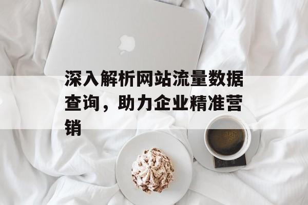深入解析网站流量数据查询,助力企业精准营销 深入解析网站流量数据查询,助力企业精准营销