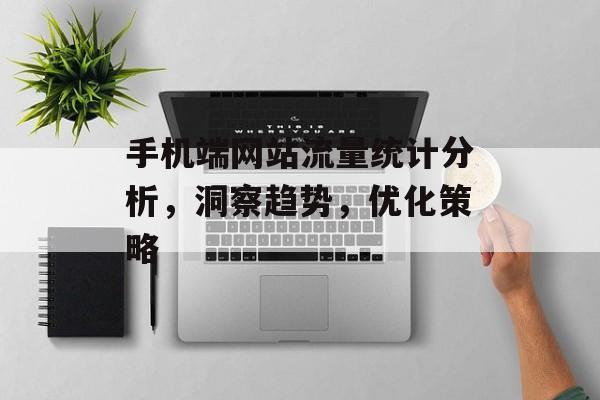手机端网站流量统计分析,洞察趋势,优化策略 手机端网站流量统计分析,洞察趋势,优化策略