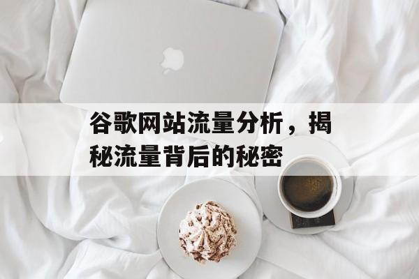 谷歌网站流量分析,揭秘流量背后的秘密 谷歌网站流量分析,揭秘流量背后的秘密