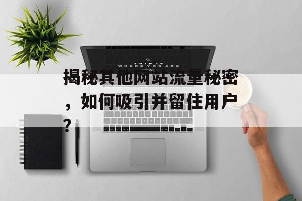 揭秘其他网站流量秘密,如何吸引并留住用户? 揭秘其他网站流量秘密,如何吸引并留住用户?