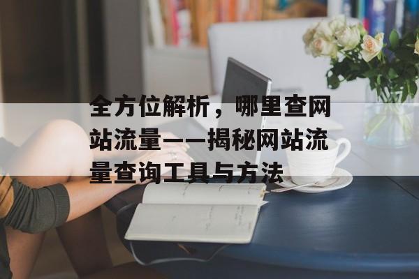 全方位解析，哪里查网站流量——揭秘网站流量查询工具与方法