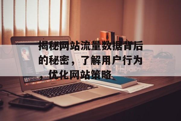 揭秘网站流量数据背后的秘密，了解用户行为，优化网站策略