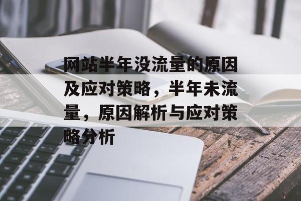 网站半年没流量的原因及应对策略,半年未流量,原因解析与应对策略分析 网站半年没流量的原因及应对策略,半年未流量,原因解析与应对策略分析