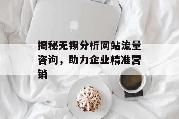 揭秘无锡分析网站流量咨询,助力企业精准营销 揭秘无锡分析网站流量咨询,助力企业精准营销