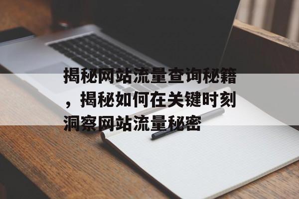 揭秘网站流量查询秘籍，揭秘如何在关键时刻洞察网站流量秘密