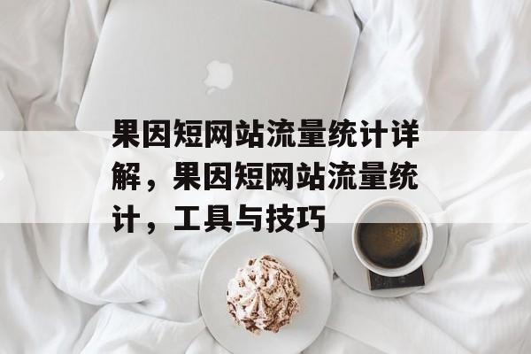 果因短网站流量统计详解，果因短网站流量统计，工具与技巧