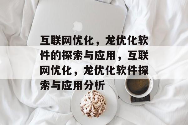 互联网优化，龙优化软件的探索与应用，互联网优化，龙优化软件探索与应用分析