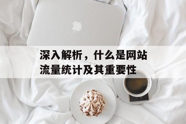 深入解析,什么是网站流量统计及其重要性 深入解析,什么是网站流量统计及其重要性
