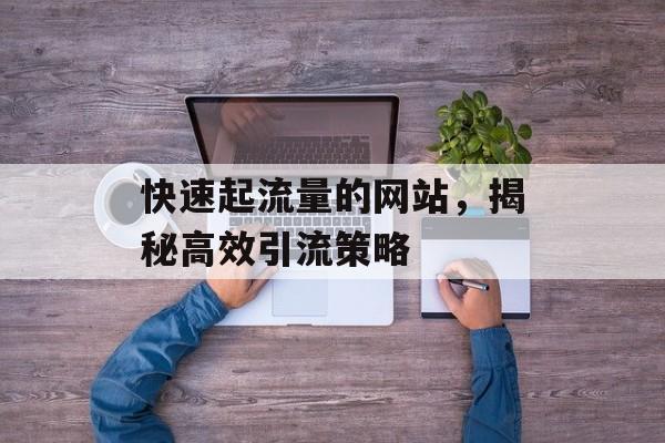 快速起流量的网站,揭秘高效引流策略 快速起流量的网站,揭秘高效引流策略