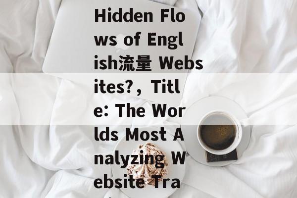Title: What Are the Hidden Flows of English流量 Websites?，Title: The Worlds Most Analyzing Website Traffic Source: Google.