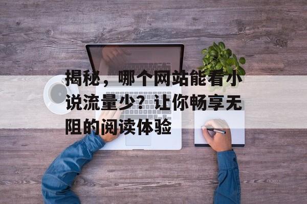 揭秘,哪个网站能看小说流量少?让你畅享无阻的阅读体验 揭秘,哪个网站能看小说流量少?让你畅享无阻的阅读体验