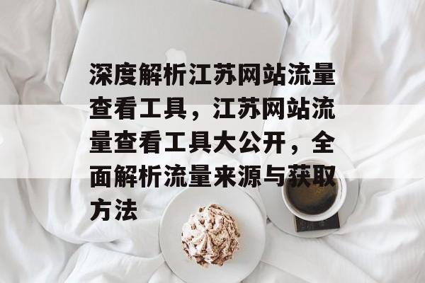 深度解析江苏网站流量查看工具，江苏网站流量查看工具大公开，全面解析流量来源与获取方法
