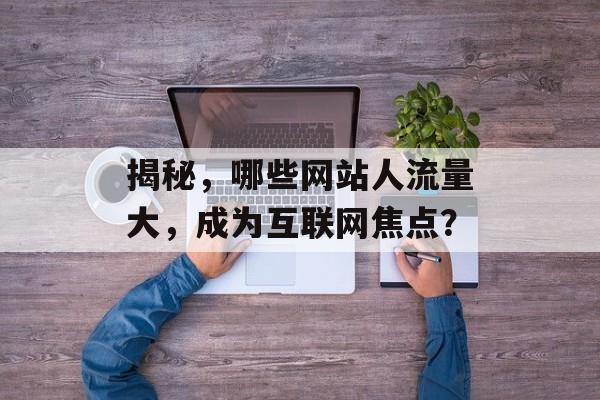 揭秘,哪些网站人流量大,成为互联网焦点? 揭秘,哪些网站人流量大,成为互联网焦点?