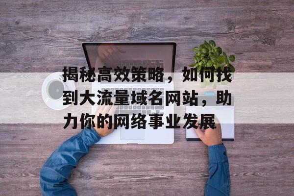 揭秘高效策略,如何找到大流量域名网站,助力你的网络事业发展 揭秘高效策略,如何找到大流量域名网站,助力你的网络事业发展