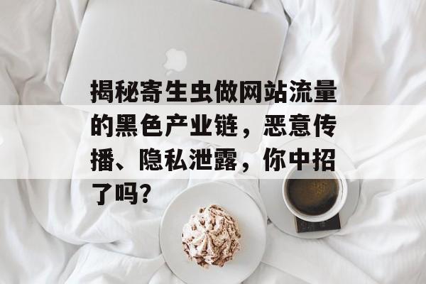 揭秘寄生虫做网站流量的黑色产业链,恶意传播、隐私泄露,你中招了吗? 揭秘寄生虫做网站流量的黑色产业链,恶意传播、隐私泄露,你中招了吗?
