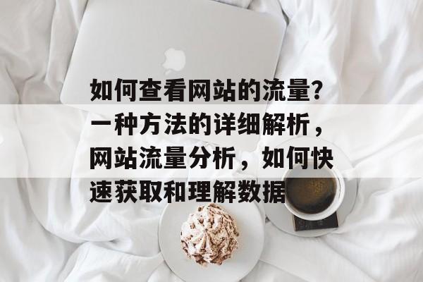 如何查看网站的流量？一种方法的详细解析，网站流量分析，如何快速获取和理解数据
