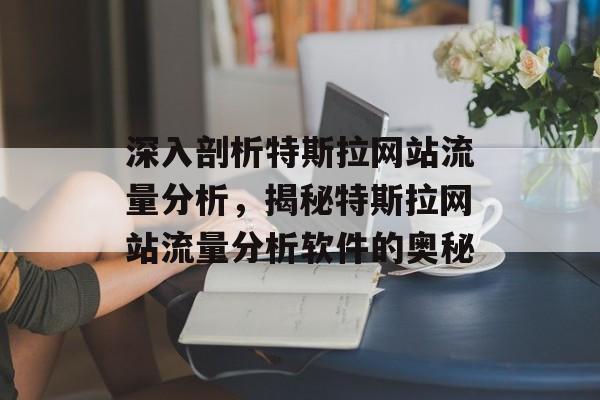深入剖析特斯拉网站流量分析,揭秘特斯拉网站流量分析软件的奥秘 深入剖析特斯拉网站流量分析,揭秘特斯拉网站流量分析软件的奥秘