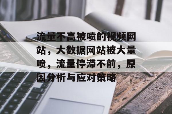 流量不高被喷的视频网站,大数据网站被大量喷,流量停滞不前,原因分析与应对策略 流量不高被喷的视频网站,大数据网站被大量喷,流量停滞不前,原因分析与应对策略