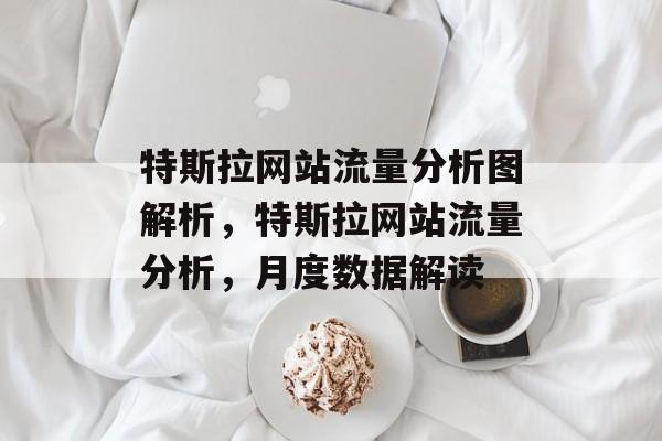 特斯拉网站流量分析图解析,特斯拉网站流量分析,月度数据解读 特斯拉网站流量分析图解析,特斯拉网站流量分析,月度数据解读