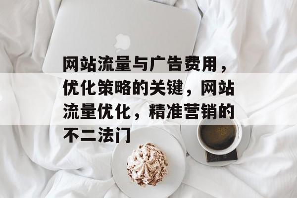 网站流量与广告费用,优化策略的关键,网站流量优化,精准营销的不二法门 网站流量与广告费用,优化策略的关键,网站流量优化,精准营销的不二法门