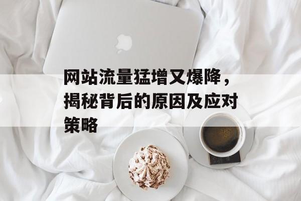 网站流量猛增又爆降,揭秘背后的原因及应对策略 网站流量猛增又爆降,揭秘背后的原因及应对策略