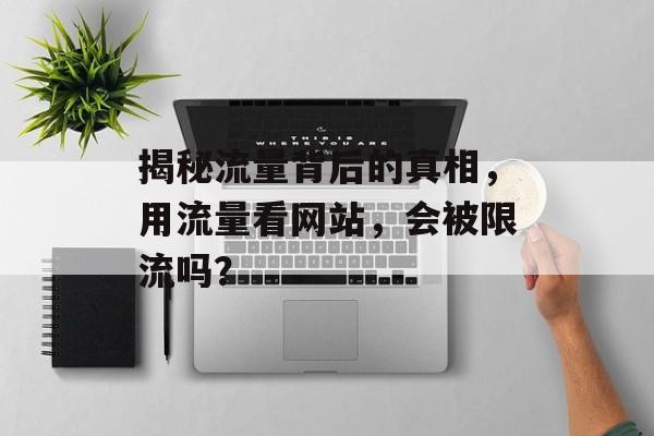 揭秘流量背后的真相，用流量看网站，会被限流吗？