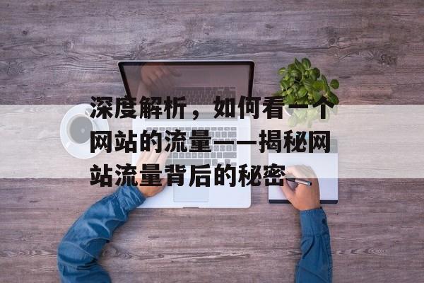 深度解析,如何看一个网站的流量——揭秘网站流量背后的秘密 深度解析,如何看一个网站的流量——揭秘网站流量背后的秘密