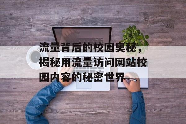 流量背后的校园奥秘,揭秘用流量访问网站校园内容的秘密世界 流量背后的校园奥秘,揭秘用流量访问网站校园内容的秘密世界