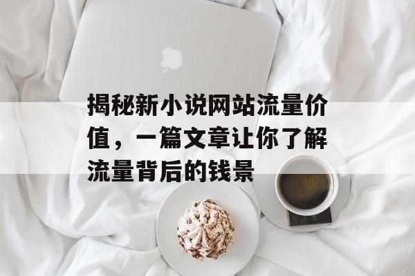 揭秘新小说网站流量价值，一篇文章让你了解流量背后的钱景