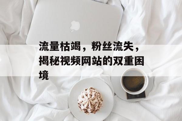 流量枯竭,粉丝流失,揭秘视频网站的双重困境 流量枯竭,粉丝流失,揭秘视频网站的双重困境