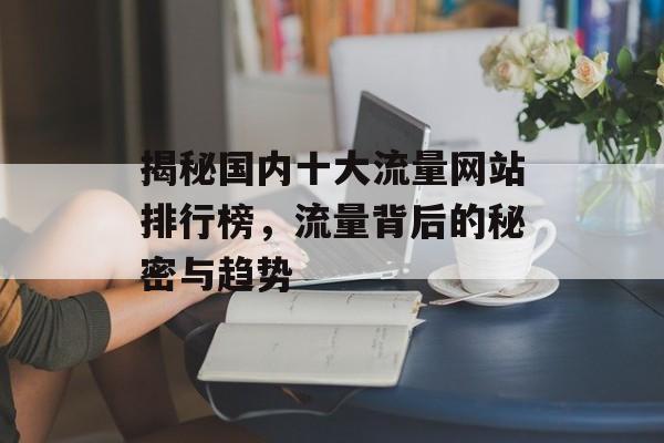 揭秘国内十大流量网站排行榜,流量背后的秘密与趋势 揭秘国内十大流量网站排行榜,流量背后的秘密与趋势
