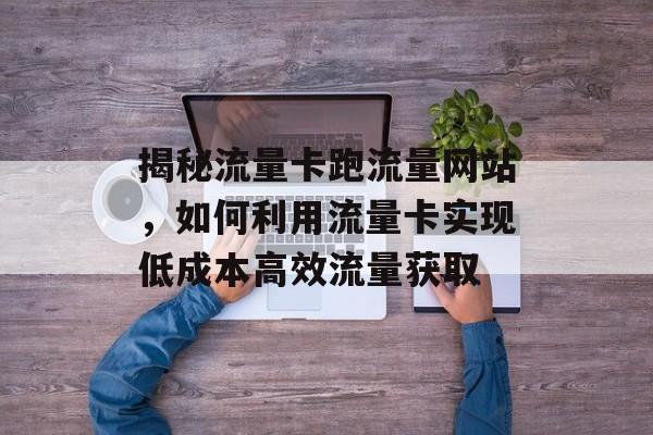 揭秘流量卡跑流量网站,如何利用流量卡实现低成本高效流量获取 揭秘流量卡跑流量网站,如何利用流量卡实现低成本高效流量获取
