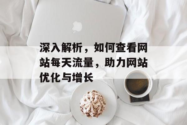 深入解析,如何查看网站每天流量,助力网站优化与增长 深入解析,如何查看网站每天流量,助力网站优化与增长