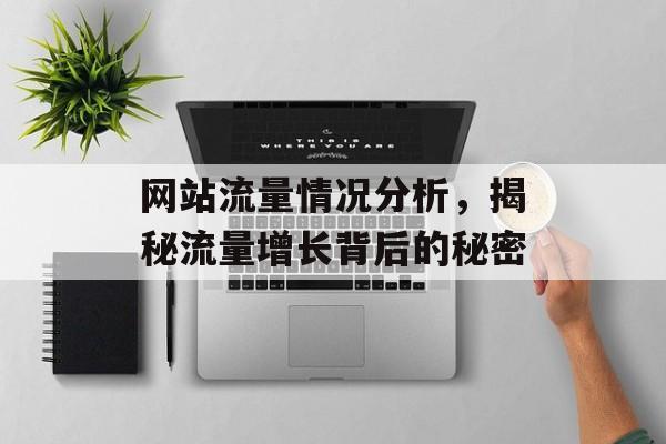 网站流量情况分析，揭秘流量增长背后的秘密