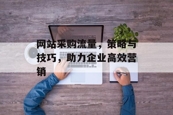 网站采购流量，策略与技巧，助力企业高效营销