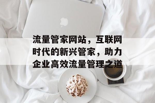 流量管家网站,互联网时代的新兴管家,助力企业高效流量管理之道 流量管家网站,互联网时代的新兴管家,助力企业高效流量管理之道