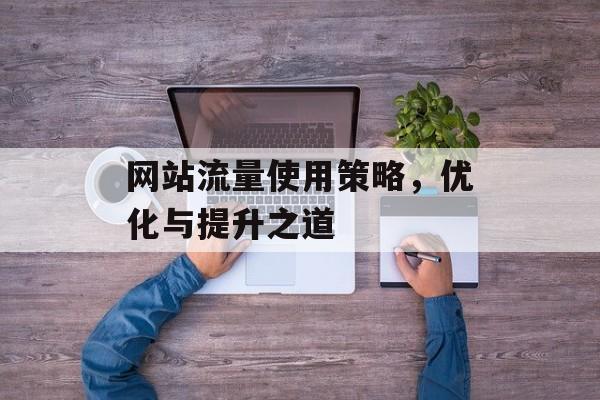 网站流量使用策略，优化与提升之道
